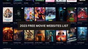 Building a Personal Movie Library on Streaming Services Like Movies123